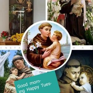 Meet your Posher, Luiza